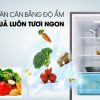 Ngăn rau củ giữ ẩm - Tủ lạnh Aqua 292 lít AQR-IG338EB GB